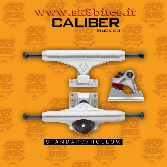 Caliber Standard Hollow Silver 8,5" 148mm Attacchi Longboard Skateboard Street Techslide